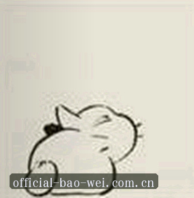 赵雅